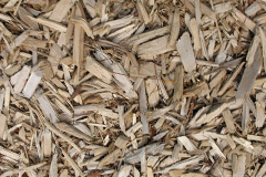 biomass boilers Tattingstone White Horse